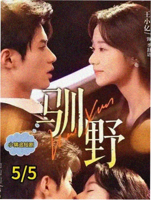 明月照关山待播剧海报